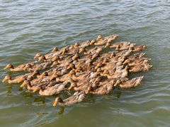 -野鸭湖国家湿地公园