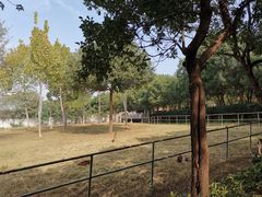-合肥野生动物园