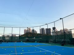 -君成体育|网球培训(蛇口校区)