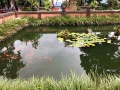 -峨眉山报国寺