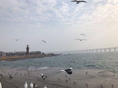 -星海湾跨海大桥