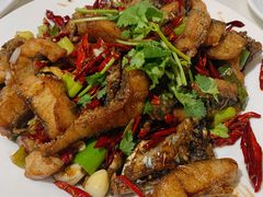 -田记餐馆(富国街店)