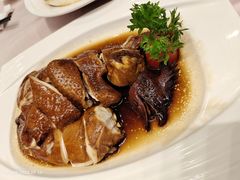 -东方御宴海鲜酒楼(棕泉酒店)