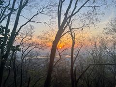 -紫金山山顶公园