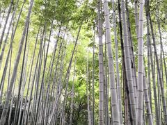 -杭州黄龙洞