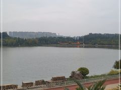 -洛龙公园