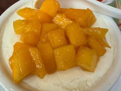 -南信牛奶甜品专家