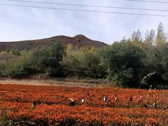 -御道口草原森林风景区