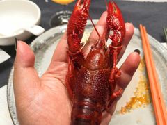 冰镇小龙虾-苏州人家·精致苏帮菜(斜塘店)