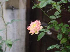 -前童古镇