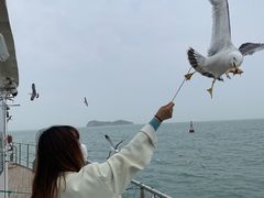 -海驴岛(荣成市)