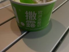 -Salud撒露欧洲冻酸奶(蓝色港湾店)