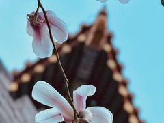 -东华门大街小区