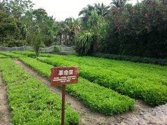 稻草人农庄-亚龙湾红树林度假酒店御粤阁
