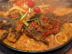 -老板恋上鱼(恒隆广场店)