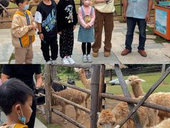 -泉州海丝野生动物世界