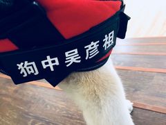 -YCHL Studios健身工作室(市二宫店)