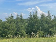 -敕勒川草原文化旅游区