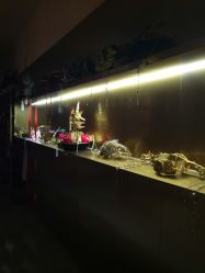 点击看大图 -盘子女人坊古装写真摄影(南京总店)