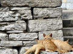 -高荡千年布依古寨旅游景区