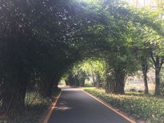 -花溪公园