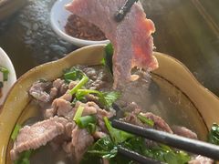 -小杨翘脚牛肉