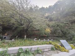 -佛慧山