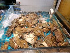 -九月海·海鲜自助(世纪东方店)