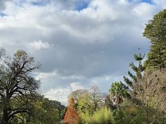 -墨尔本皇家植物园