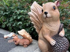 -云溪植物园