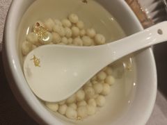 -松鹤楼(狮山永利广场店)