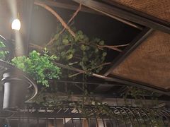 -龙抄手食府(浣花北路店)