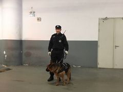 -梅赛德斯奔驰文化中心·停车场