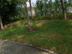 -梁鸿国家湿地公园