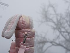 -紫金山山顶公园