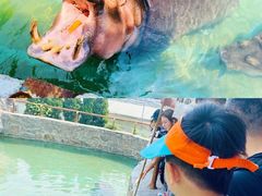 -青岛森林野生动物世界