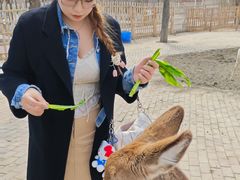 -水上乐园·欢乐世界