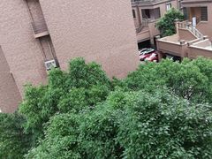 -上海浦东国际机场-T2航站楼