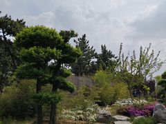 -羊亭河湿地公园