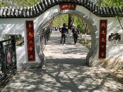 -桃花堤公园