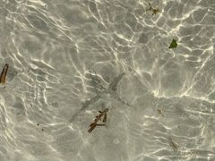 -白沙滩