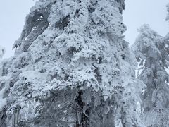 -瓦屋山景区