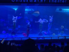 -泉城欧乐堡海洋极地世界
