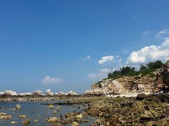 -养马岛旅游度假区