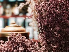 -斯琴阿妈蒙古餐厅(新城店)