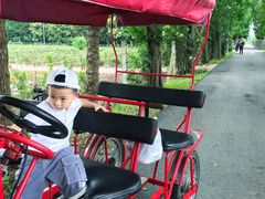 -上海长兴岛郊野公园