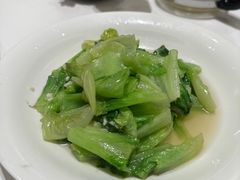 -四季春