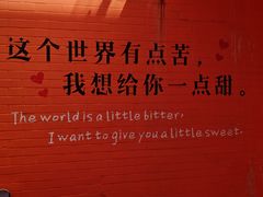 -巨鹏飞梦幻海岸