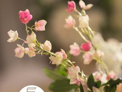 -金泽大酒店·卢塞恩餐厅·年夜饭春节连市