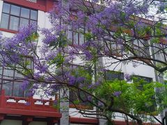 -四川大学(望江校区)